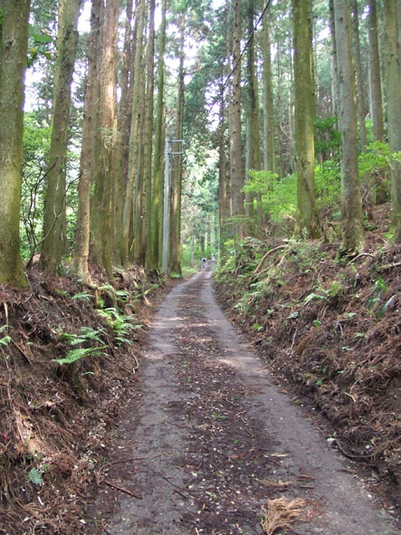 丹沢大山 　　　2008年５月18日　日曜日　曇り