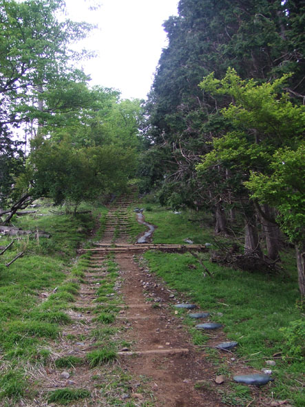 丹沢大山 　　　2008年５月18日　日曜日　曇り