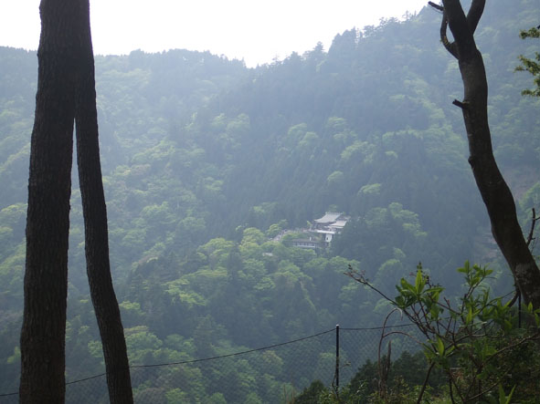 丹沢大山 　　　2008年５月18日　日曜日　曇り