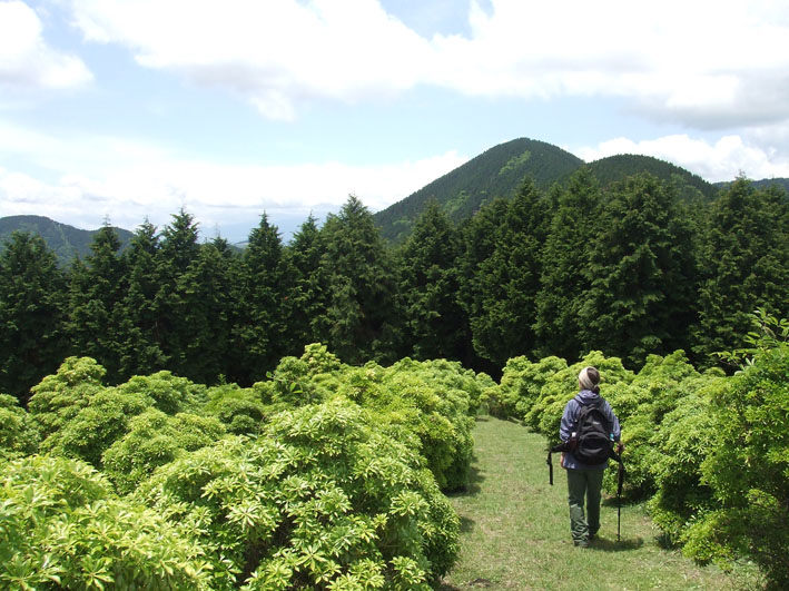 丹沢　シダンゴ山　　２００８年５月３１日（土）