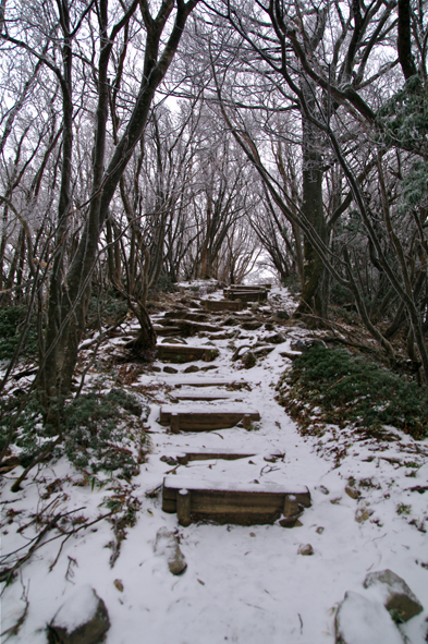 天城山（万三郎岳　1406m）日帰り　2012年1月7日