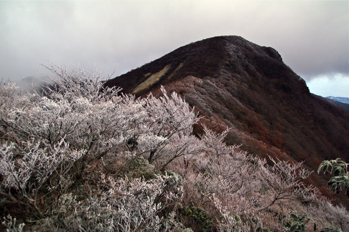 天城山（万三郎岳　1406m）日帰り　2012年1月7日