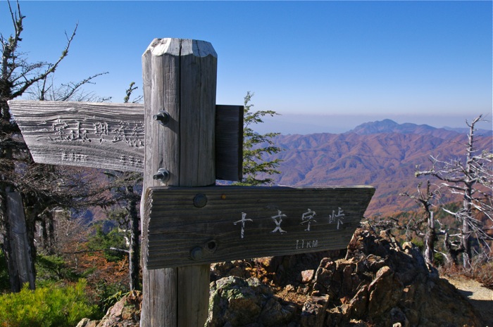 甲武信岳　日帰り　　沢と苔の街道を行く　　2012年11月3日