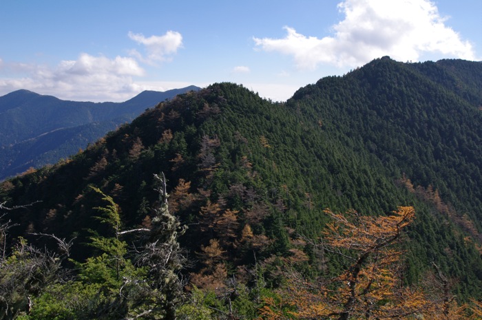 甲武信岳　日帰り　　沢と苔の街道を行く　　2012年11月3日