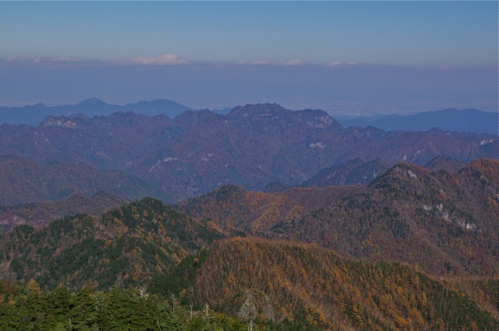 甲武信岳　日帰り　　沢と苔の街道を行く　　2012年11月3日