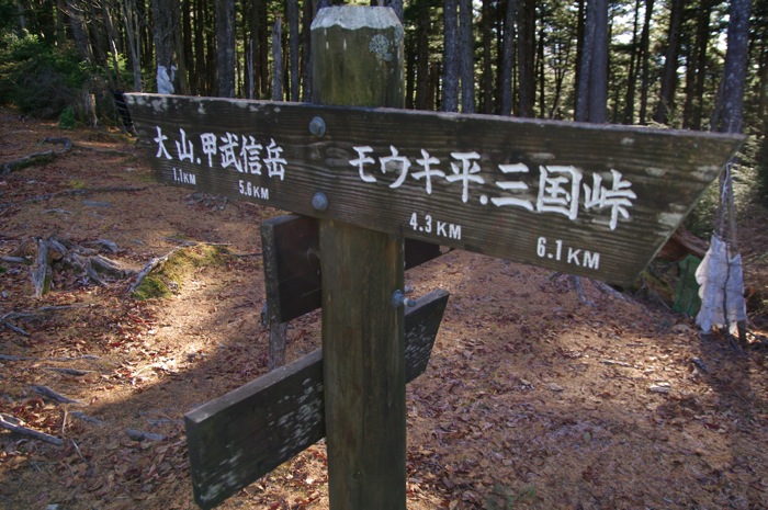 甲武信岳　日帰り　　沢と苔の街道を行く　　2012年11月3日