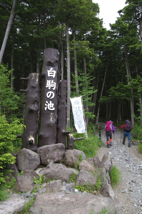 北八ケ岳・ニュウ　苔の原生林を歩く〜白駒池でテント泊