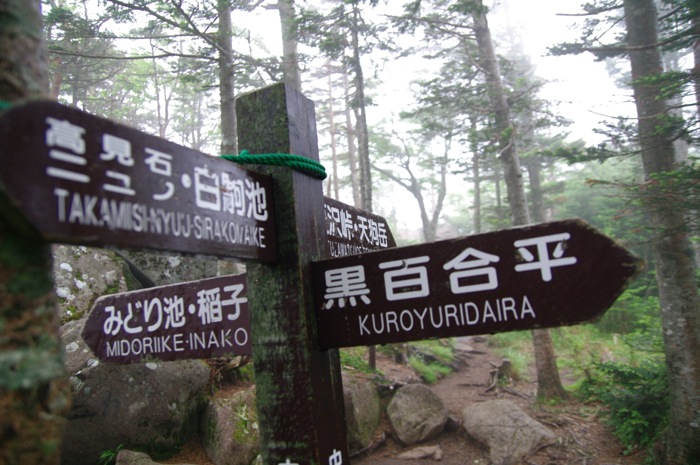 北八ケ岳・ニュウ　苔の原生林を歩く〜白駒池でテント泊