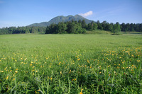 尾瀬１日目　燧ヶ岳