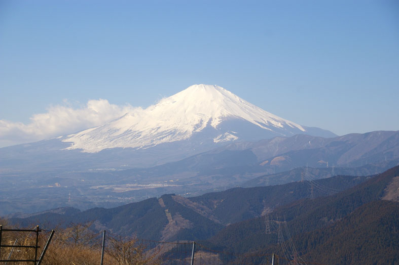 丹沢　大野山