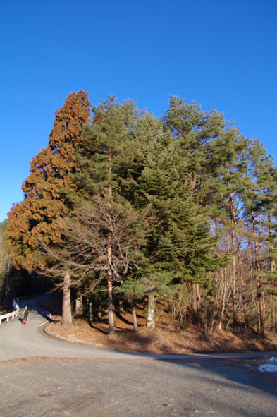 雲取山 日帰り  鴨沢コース往復　2011年2月19日