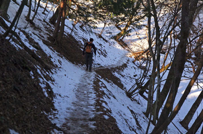 雲取山 日帰り  鴨沢コース往復　2011年2月19日