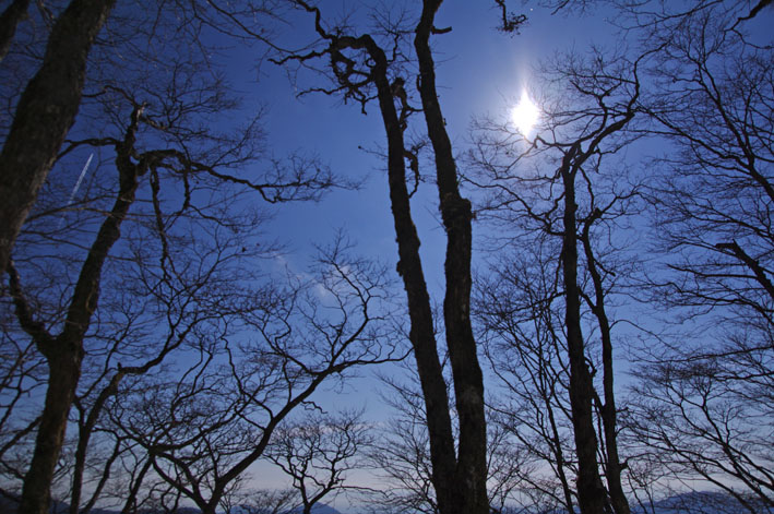 雲取山 日帰り  鴨沢コース往復　2011年2月19日