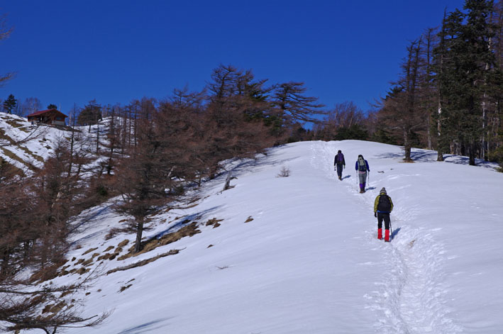 雲取山 日帰り  鴨沢コース往復　2011年2月19日