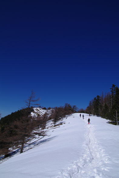 雲取山 日帰り  鴨沢コース往復　2011年2月19日