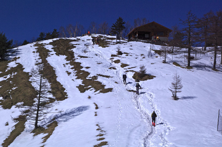 雲取山 日帰り  鴨沢コース往復　2011年2月19日