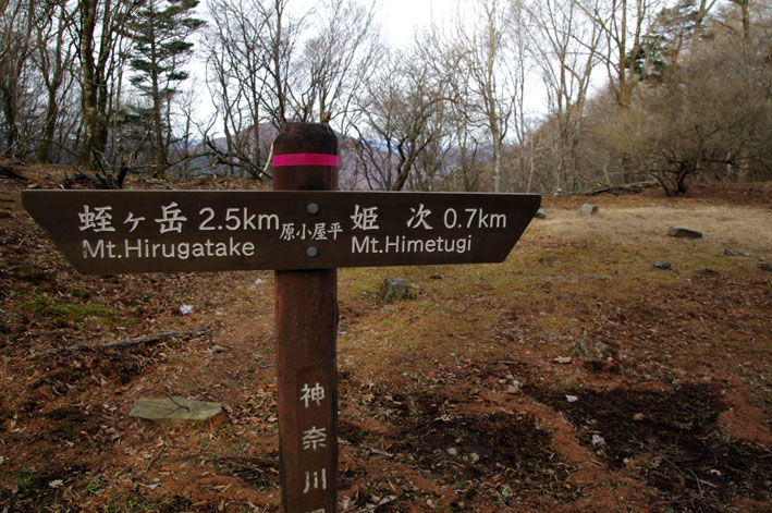 蛭ヶ岳　日帰り　青根登山口よりピストン　2011年11月27日