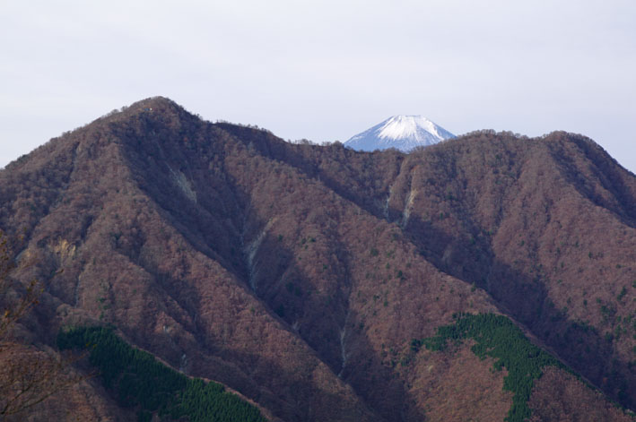 蛭ヶ岳　日帰り　青根登山口よりピストン　2011年11月27日