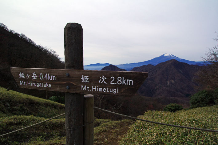 蛭ヶ岳　日帰り　青根登山口よりピストン　2011年11月27日