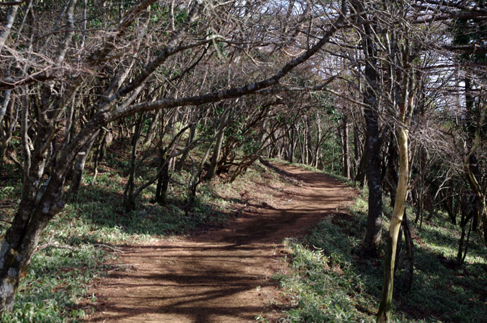 蛭ヶ岳　日帰り　青根登山口よりピストン　2011年11月27日