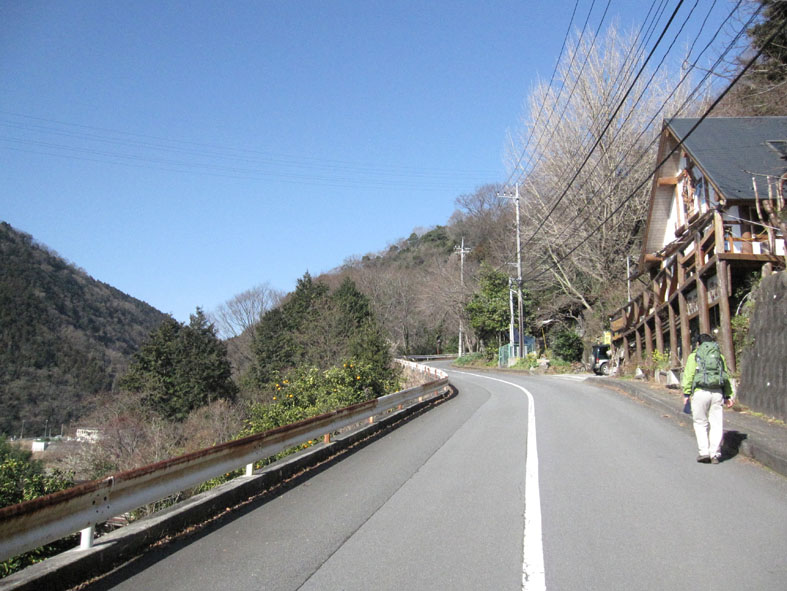 丹沢　大野山