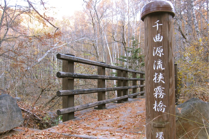 甲武信岳　日帰り　　沢と苔の街道を行く　　2012年11月3日