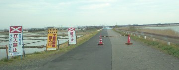 春