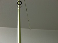 結局その後どーなったのか・・・