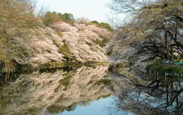 2度の違い
