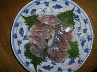 青物（アジ・サバ）最高！ 2010/05/04 20:53:08