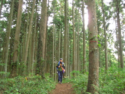 陣馬山へ