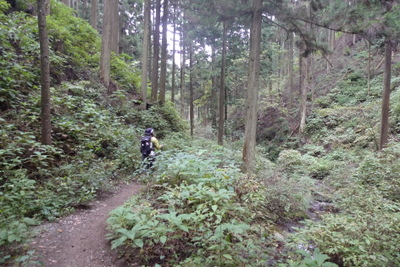 陣馬山へ