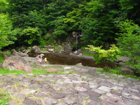 フォレストパークあだたらへ行ってきました　２