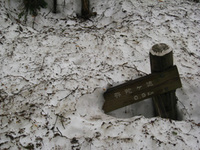 残雪？の白根山へ