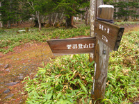 残雪？の白根山へ