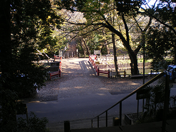 氷川女體神社