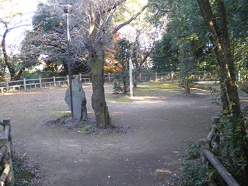 氷川女體神社