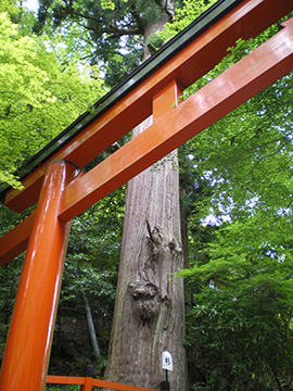 貴船神社