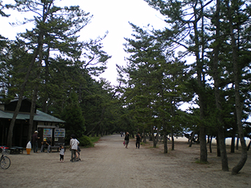 天橋立神社（橋立明神）