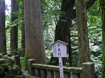 榛名神社