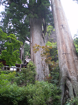 榛名神社