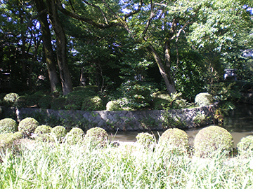 相模国一之宮 寒川神社