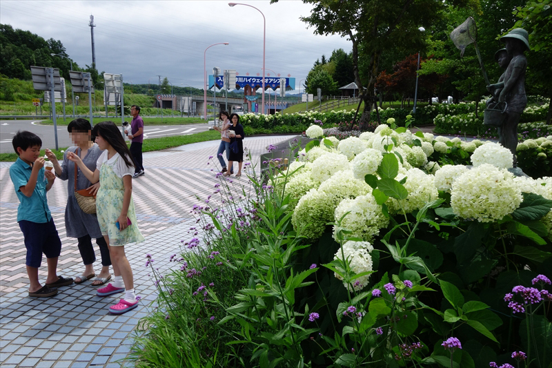 札幌から雨竜沼へ ～雨竜沼湿原ゲートパークキャンプ場