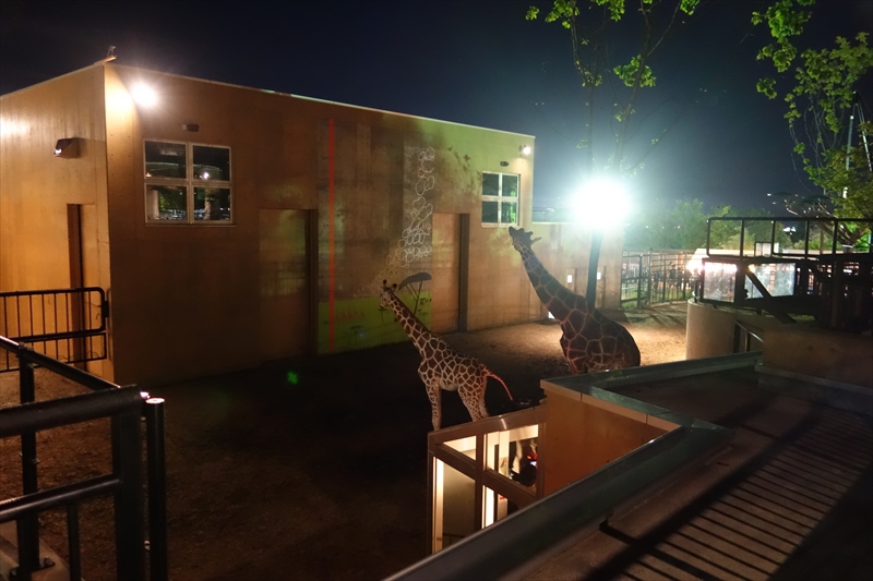 夜の動物園 ～旭山動物園