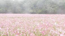 久々の県北移動 2020/11/09 00:14:00