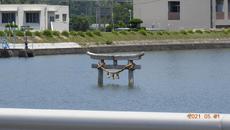 単身赴任中の写真 2021/06/06 05:15:00