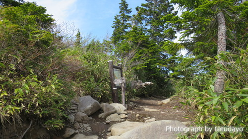 花が咲き始めたお山へ静かな山行（火打山）　-　初日