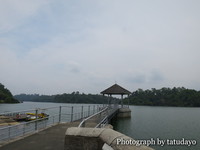 シンガポールトレッキング１－MacRitchie Reservoir Park