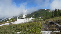 火打山ハイク　残雪・お花そしてカモシカに出会う　-　その2