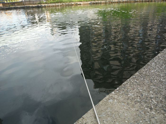 ハゼ釣り 2018-11 横十間川＋旧中川